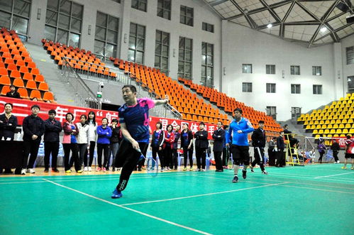 航泰杯職工羽毛球團體賽圓滿落幕，飾品銷售助力賽事氛圍